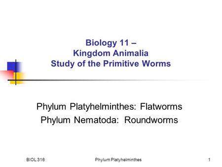 Biology 11 – Kingdom Animalia Study of the Primitive Worms