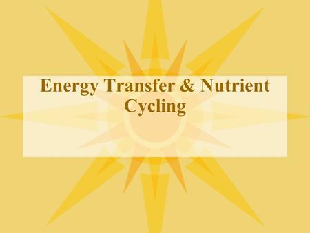 Energy Transfer & Nutrient Cycling