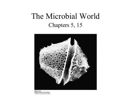 The Microbial World Chapters 5, 15. The Marine Environment.