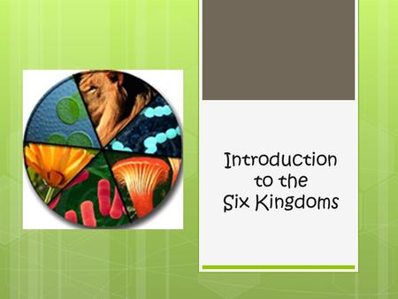 Introduction to the Six Kingdoms. Archaeabacteria  Type of cell:  Prokaryotes  Number of Cells:  Unicellular  Structures:  Have cell walls  Food/Energy: