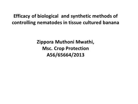 Efficacy of biological and synthetic methods of controlling nematodes in tissue cultured banana Zippora Muthoni Mwathi, Msc. Crop Protection A56/65664/2013.