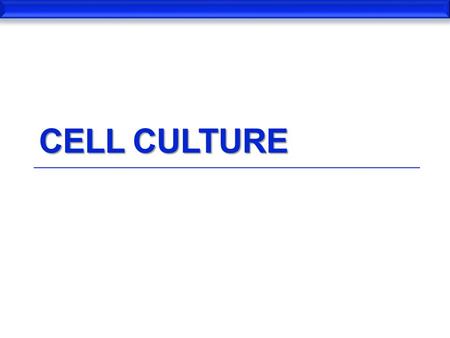 Cell Culture.