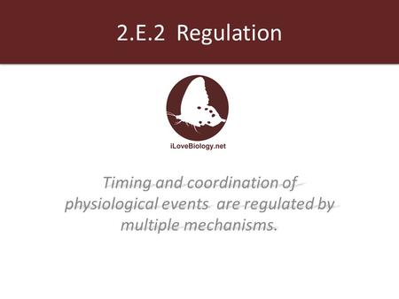 2.E.2 Regulation Timing and coordination of physiological events are regulated by multiple mechanisms.