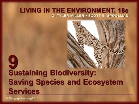 Sustaining Biodiversity: Saving Species and Ecosystem Services