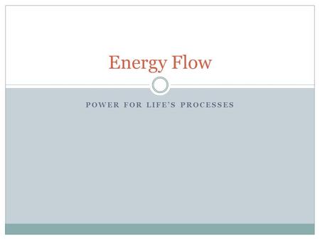POWER FOR LIFE’S PROCESSES Energy Flow. Producers Sunlight is the primary source of energy source for life on earth. Plants, algae, and some bacteria.