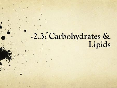 2.3: Carbohydrates & Lipids. Carbohydrates You have 30 seconds to write down EVERYTHING you know…
