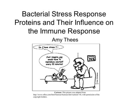 Bacterial Stress Response Proteins and Their Influence on the Immune Response Amy Thees.