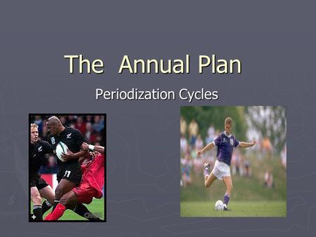 The Annual Plan Periodization Cycles.