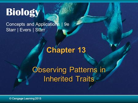 © Cengage Learning 2015 Biology Concepts and Applications | 9e Starr | Evers | Starr © Cengage Learning 2015 Chapter 13 Observing Patterns in Inherited.