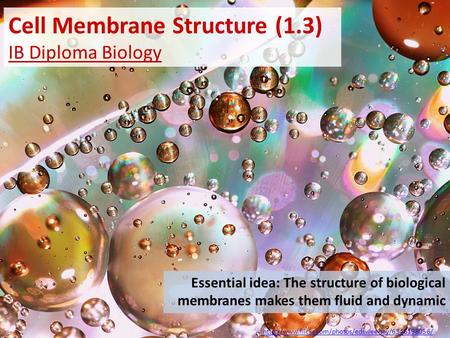Cell Membrane Structure (1.3) IB Diploma Biology Essential idea: The structure of biological membranes.