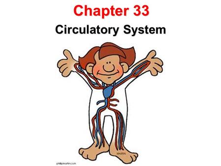 Chapter 33 Circulatory System.