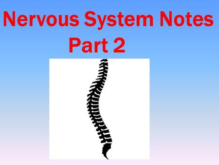 Nervous System Notes Part 2. What are the two parts of the central nervous system? The two parts of the central nervous system are the brain and spinal.