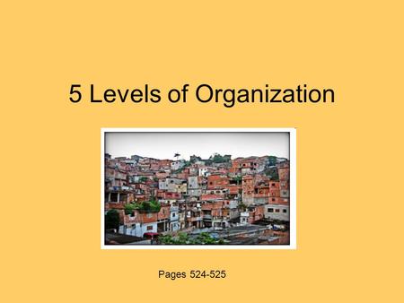 5 Levels of Organization