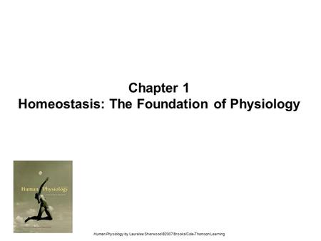 Homeostasis: The Foundation of Physiology