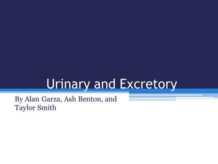 Urinary and Excretory By Alan Garza, Ash Benton, and Taylor Smith.