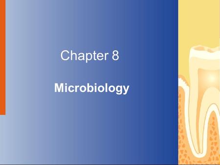 Chapter 8 Microbiology Copyright © 2004 by Delmar Learning, a division of Thomson Learning, Inc. ALL RIGHTS RESERVED.