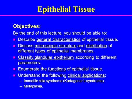 Epithelial Tissue Objectives: