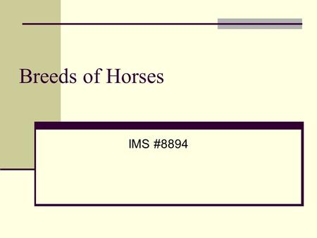 Breeds of Horses IMS #8894.