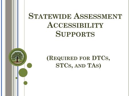 S TATEWIDE A SSESSMENT A CCESSIBILITY S UPPORTS (R EQUIRED FOR DTC S, STC S, AND TA S )