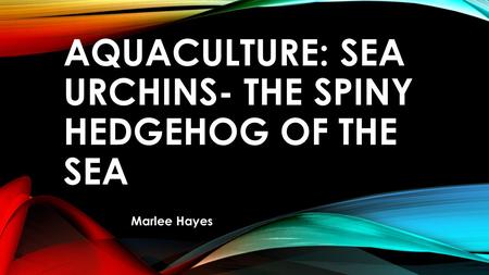 Aquaculture: sea Urchins- The spiny hedgehog of the sea