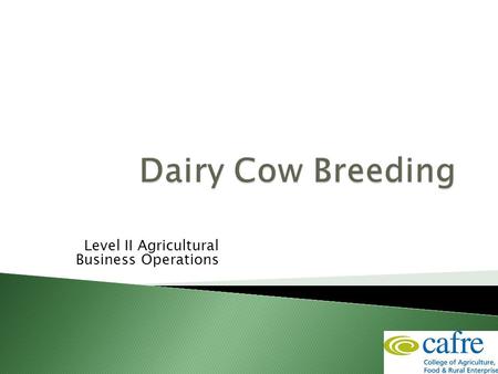 Level II Agricultural Business Operations. What is the objective... ?  To produce a more efficient dairy animal  Milk producers want healthy cows, acceptable.