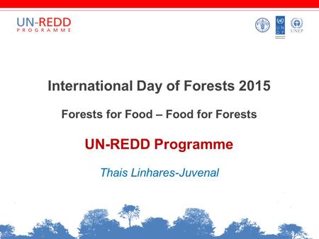 International Day of Forests 2015 Forests for Food – Food for Forests UN-REDD Programme Thais Linhares-Juvenal.