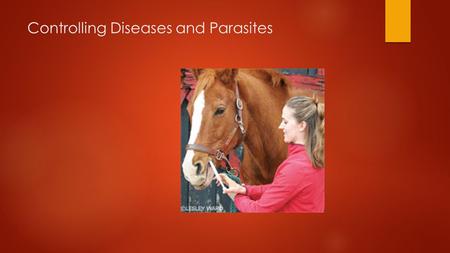 Controlling Diseases and Parasites. Next Generation Science / Common Core Standards Addressed!  CCSS.ELA-Literacy.RH.11-12.9 Integrate information from.