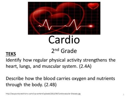 Cardio 2nd Grade TEKS Identify how regular physical activity strengthens the heart, lungs, and muscular system. (2.4A) Describe how the blood carries oxygen.