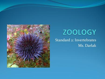 Standard 2: Invertebrates Ms. Darlak
