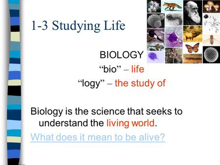 1-3 Studying Life BIOLOGY “bio” – life “logy” – the study of