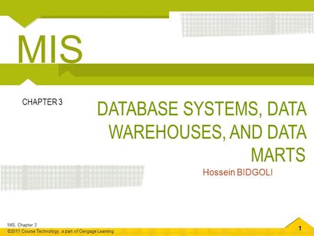 MIS DATABASE SYSTEMS, DATA WAREHOUSES, AND DATA MARTS CHAPTER 3
