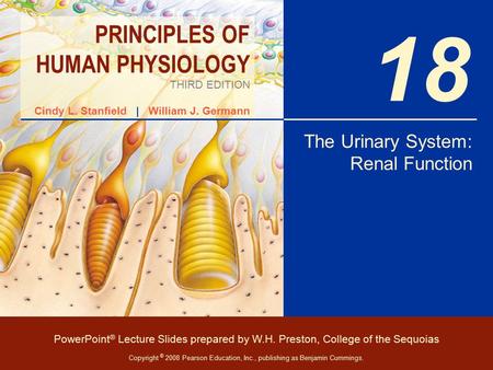 The Urinary System: Renal Function