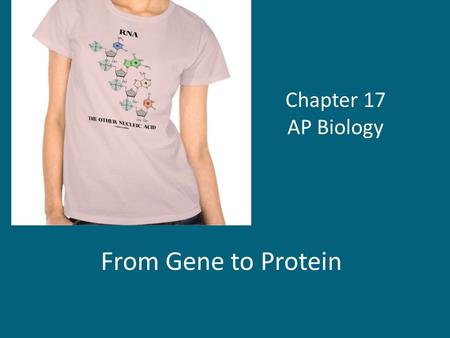 Chapter 17 AP Biology From Gene to Protein.