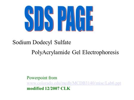 SDS PAGE Sodium Dodecyl Sulfate PolyAcrylamide Gel Electrophoresis