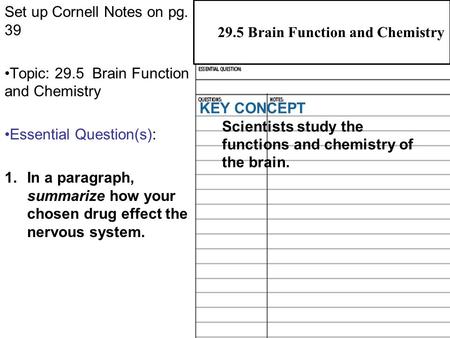 29.5 Brain Function and Chemistry