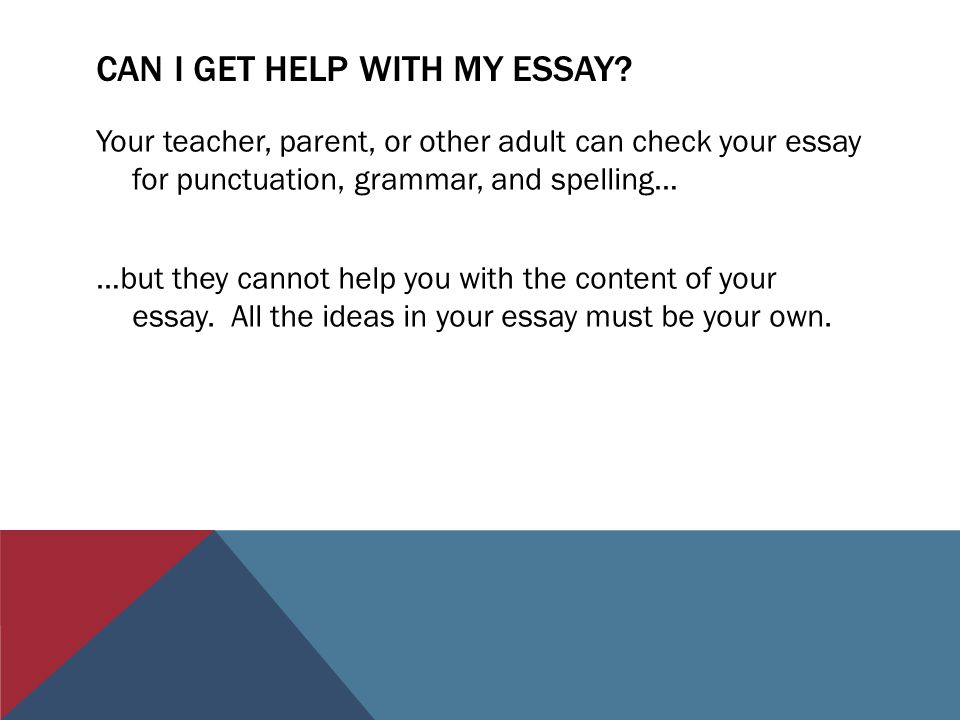 check your essay
