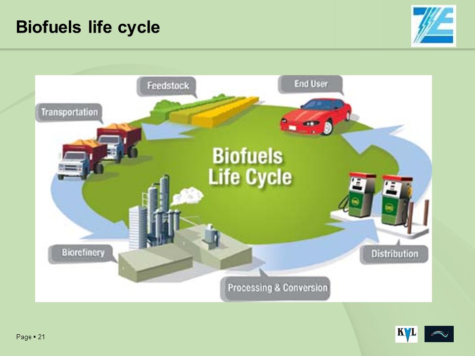 online economics for environmental