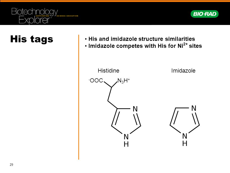 download discrete structures lecture notes