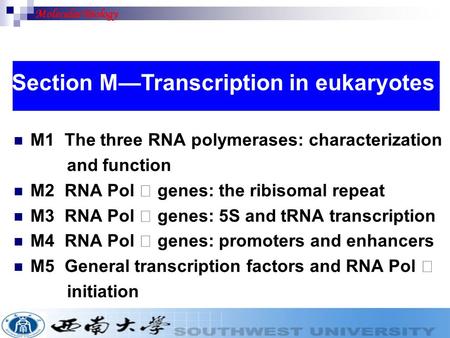 M1 The three RNA polymerases: characterization and function M2 RNA Pol Ⅰ genes: the ribisomal repeat M3 RNA Pol Ⅲ genes: 5S and tRNA transcription M4 RNA.