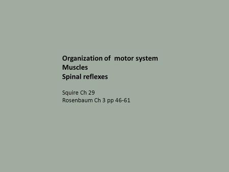 Organization of motor system Muscles Spinal reflexes Squire Ch 29 Rosenbaum Ch 3 pp 46-61.