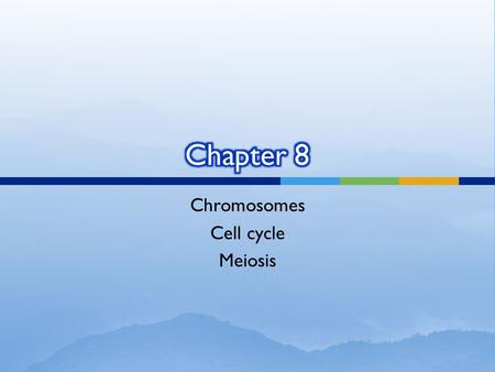 Chromosomes Cell cycle Meiosis. 1. A haploid number of chromosomes 2. Diploid number of chromosomes 3. All the genes of the organism 4. Only liver genes.