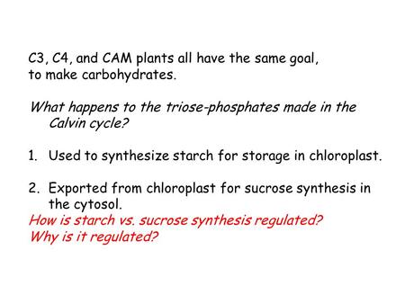 C3, C4, and CAM plants all have the same goal, to make carbohydrates. What happens to the triose-phosphates made in the Calvin cycle? 1.Used to synthesize.