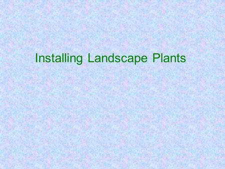 Installing Landscape Plants