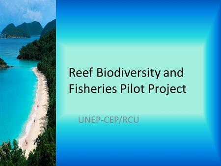 Reef Biodiversity and Fisheries Pilot Project UNEP-CEP/RCU.