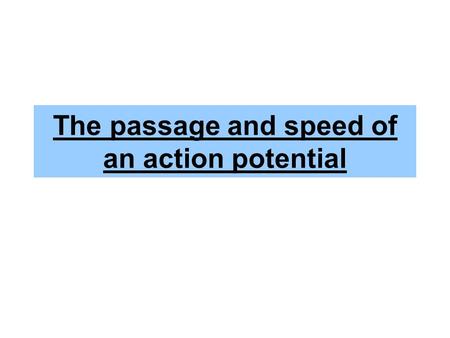The passage and speed of an action potential