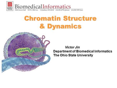 Chromatin Structure & Dynamics Victor Jin Department of Biomedical Informatics The Ohio State University.