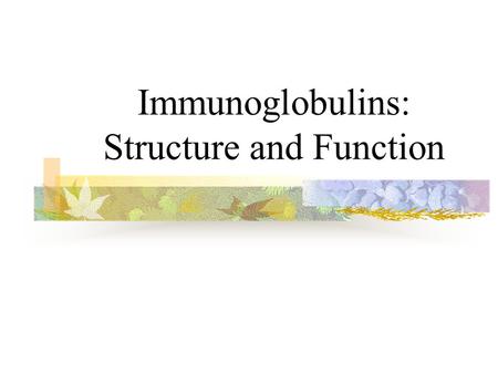 Immunoglobulins: Structure and Function