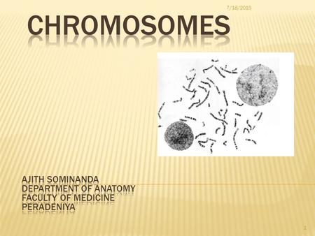 7/18/2015 1.  Nuclear DNA Condenses during the cell division and appears as ‘colored bodies’ (with stains); the Chromo+somes.  Chromosomes were discovered.