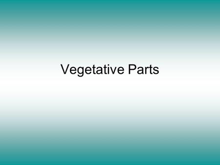 Vegetative Parts.