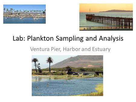 Lab: Plankton Sampling and Analysis Ventura Pier, Harbor and Estuary.